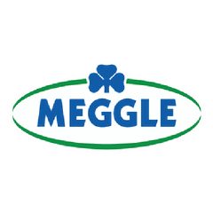 Demo Logo