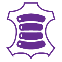 Odoo • Image and Text